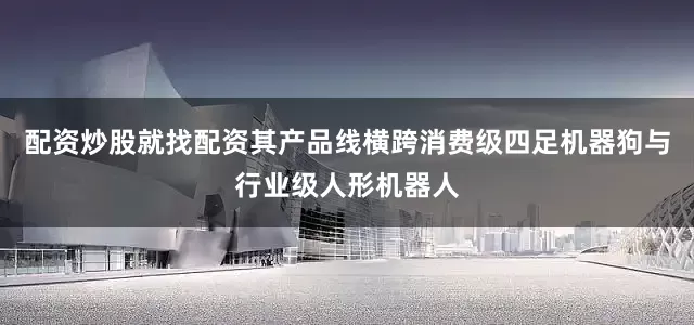 配资炒股就找配资其产品线横跨消费级四足机器狗与行业级人形机器人