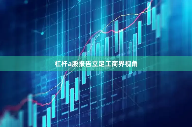 杠杆a股　　报告立足工商界视角